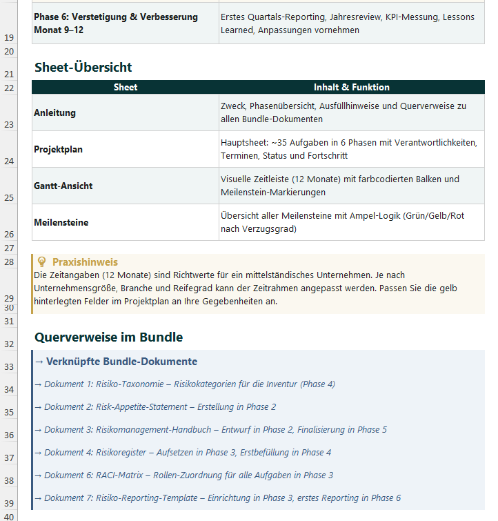 RMS Projekt- & Meilensteinplan – Thumbnail 2
