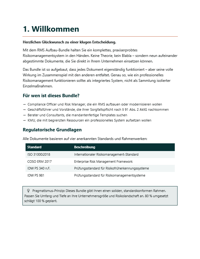 Risikomanagement-System Aufbau-Bundle – Thumbnail 3